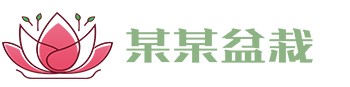 杏鑫娱乐-创意平台,注册畅享文化之梦!